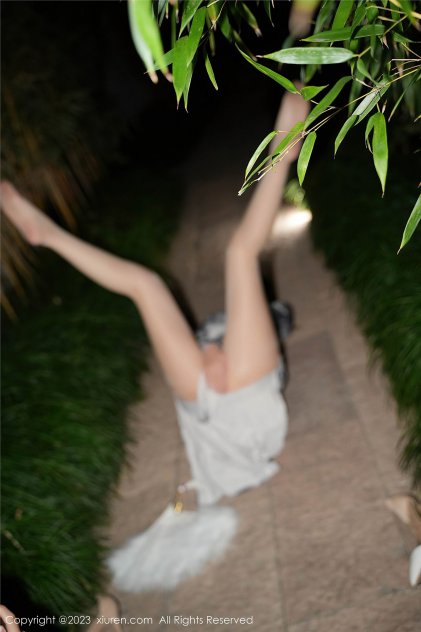 欧美视频毛片在线播放人与动物人海报